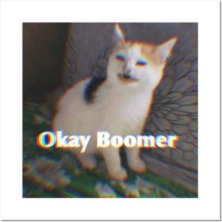 Ok Boomer Cat Meme Posters and Art
